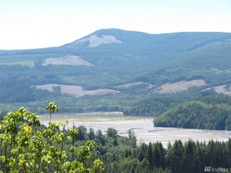 0 2500 Rd Unit 1166465, Toutle, WA 98649