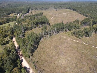 0 Oakey Streak Rd, Dozier, AL 36028