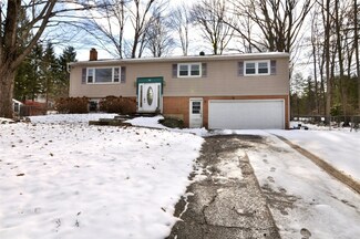 4 Eland Dr, Apalachin, NY 13732