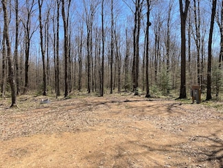 0 Summit Woods Ln Unit 22704621, Gleason, WI 54435