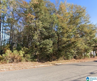 0 Wyndham Pkwy, Helena, AL 35080