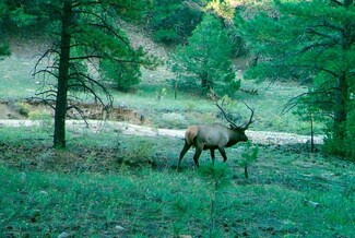 0 Cr 634 Unit 20-977, Gardner, CO 81040