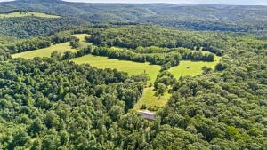 000 County Road 4221, Oark, AR 72854