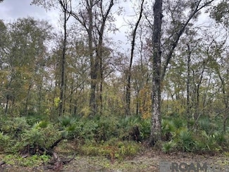 6-B Prince Rd, Saint Amant, LA 70774