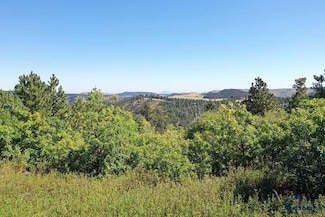 TBD Mountain View Dr, Lead, SD 57754