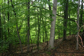 0 W Jefferson Rd, Pentwater, MI 49449