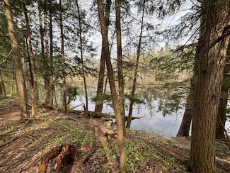 000 Cree Trail, Hayes Township, MI 49735