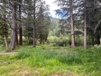 lot 14 Aspen Grove Ln Unit 14, June Lake, CA 93529