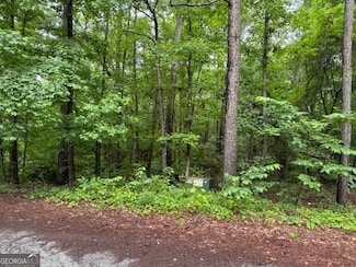 0 Robin Ct Unit 10527408, Monticello, GA 31064