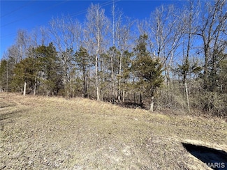 5 Pinnacle Lake Rd, New Florence, MO 63363