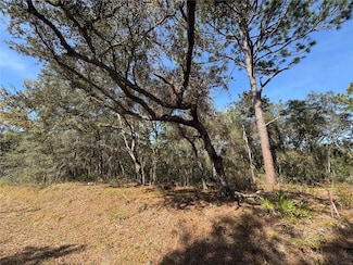 0 SE 115 Place Rd Unit MFRG5104731, Ocklawaha, FL 32179