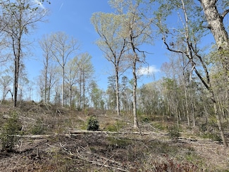 0 Beaver Pond Rd Unit 23126346, Monroeville, AL 36475