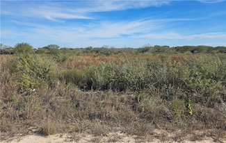 20 County Road 1431, Alice, TX 78384