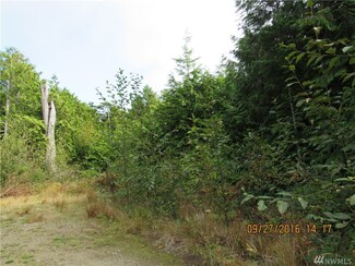 0 Block 7 Lots 6 -8 Unit 1032579, Pacific Beach, WA 98571