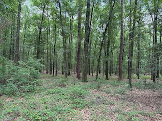 County Road 11, Ariton, AL 36311