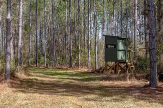 0 Old Highway 250, Claxton, GA 30417