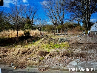 1081 Walk Place, Memphis, TN 38106