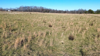 003 County Road 89, Rogersville, AL 35610