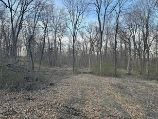 2589 E 250 Rd N, Pana, IL 62557