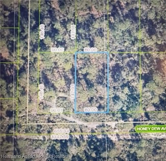 2336 Honey Dew Ave, Sebring, FL 33875