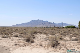 0 San Augustine Rd SE Unit 20231665, Deming, NM 88030