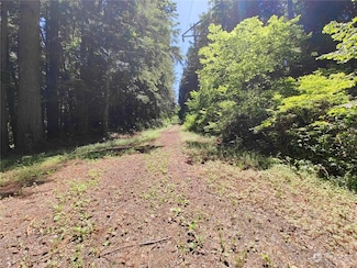 0 xxxx Cedar Falls Ave SE, North Bend, WA 98045