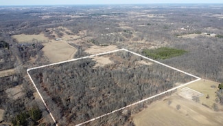 0 Burtless Rd Unit 25008901, Manchester Township, MI 48158