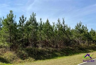 0 Whitfield Rd Unit 19950150, Elko, GA 31025