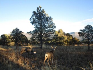33031 Pine Nut Dr, Trinidad, CO 81082