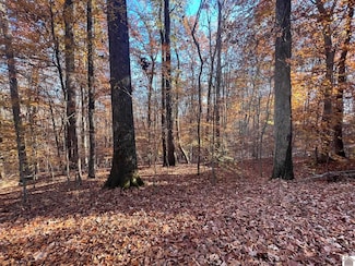 00 Commerce Landing Rd, Eddyville, KY 42038