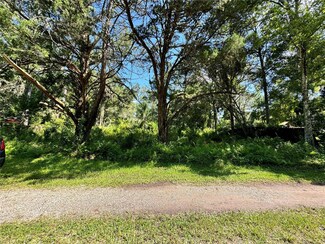 21019 Nina Ln, Brooksville, FL 34601