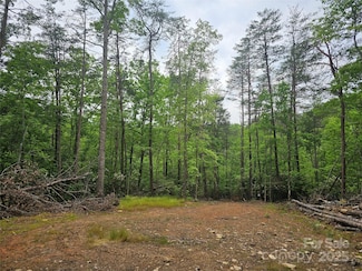 325 Mcginnis Rd, Old Fort, NC 28762