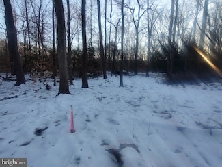 0 Gunston Rd, Lorton, VA 22079