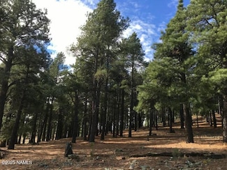 9245 Coyote Pass, Fort Valley, AZ 86001