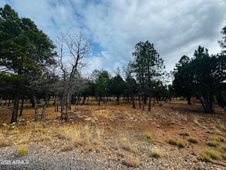 2793 Hummingbird Cir Unit 159, Happy Jack, AZ 86024