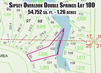 1005 Sipsey Overlook Rd, Double Springs, AL 35553