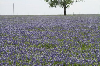 4581 County Road 222, Anderson, TX 77830