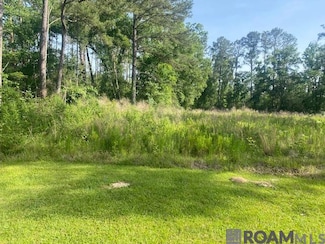 61199 Louisiana 1046, Montpelier, LA 70422