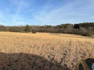 0 Wayne Ln, Evensville, TN 37332