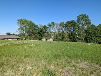 TBD Lake Chapeau Dr, Albert Lea, MN 56007