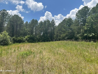 0 George Warren Rd, Brandon, MS 39042