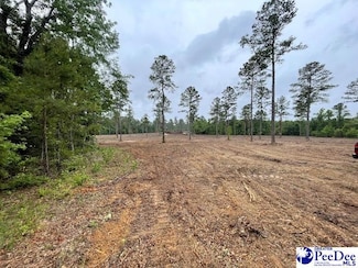 tbd E Old Marion Hwy, Florence, SC 29506