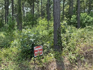 3245 County Road 1095, Center, TX 75935