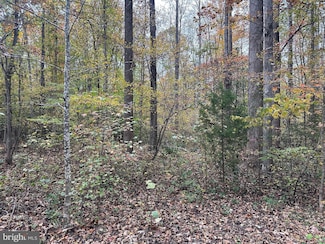 8105 Wade St, Partlow, VA 22534