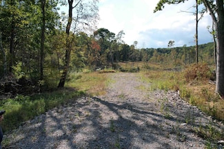 Lot 1-3 998 Hanlin Rd, Bruceton Mills, WV 26525