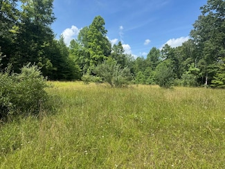 00 Elliott Rd, Hico, WV 25854
