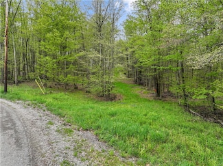 C5 S Peninsula Dr, Indian Lake, PA 15926
