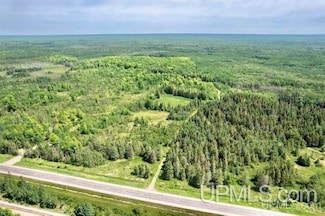 TBD E State Highway M35, Rock, MI 49880