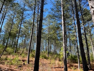0 Pleasant Valley Rd Unit 22924342, Rome, GA 30161