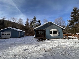 107 Grandview Acres Rd, Phoenicia, NY 12464